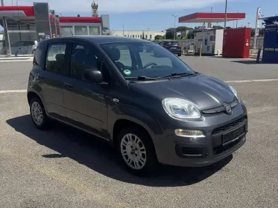 Usata Fiat Panda Easy 69 CV (50 kW) 2019 Utilitaria
