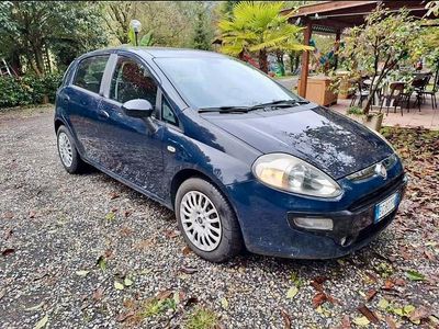 Blu Usata 2011 Fiat Punto Utilitaria | 3500 € (Buon prezzo)