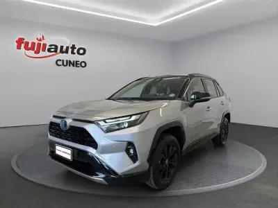 Usata Toyota RAV4 Hybrid