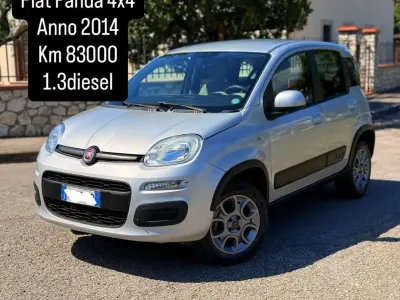 Usata Fiat Panda 4x4 75 CV (55 kW) 2014 Grigio Utilitaria