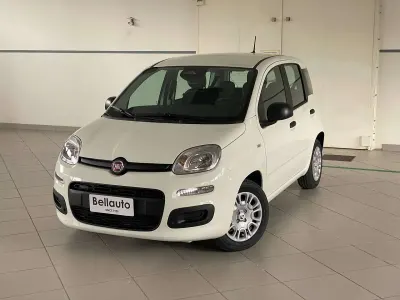 Usata Fiat Panda S 69 CV (50 kW) 2025 Bianco gelato Utilitaria