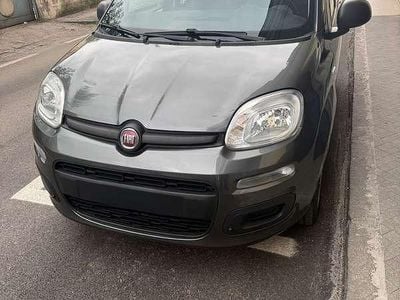 Usata Fiat Panda Easy 69 CV (50 kW) 2019 Grigio Utilitaria