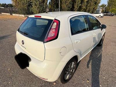 Usata Fiat Punto Evo Active 65 CV (47 kW) 2013 Utilitaria