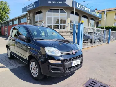 Usata Fiat Panda