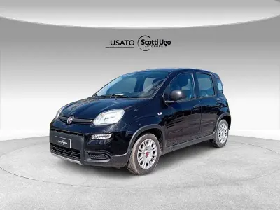 Usata Fiat Panda S 69 CV (50 kW) 2023 Nero Utilitaria