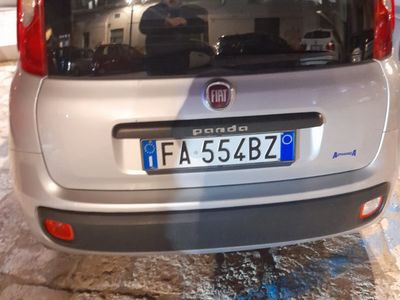 usata Fiat Panda Panda 1.2 Easy