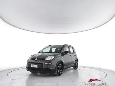 Usata Fiat Panda City Life 69 CV (50 kW) 2021 Grigio Utilitaria