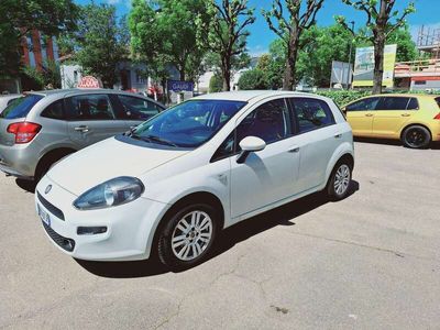 usata Fiat Punto PuntoIII 2012 5p 1.3 mjt II 16v Lounge 75cv