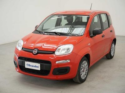 usata Fiat Panda 1.0 hybrid easy connect s&s 70cv