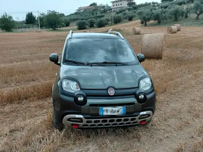 Usata Fiat Panda Cross Cross 95 CV (69 kW) 2018 Verde Utilitaria