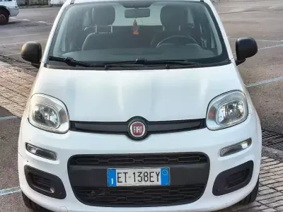 Usata Fiat Panda Easy 69 CV (50 kW) 2013 Bianco Utilitaria