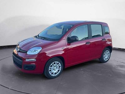 Nuevo Fiat Panda 70 CV (51 kW) 2025 Rojo Utilitario