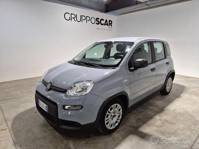 Usata Fiat Panda S 70 CV (51 kW) 2022 Grigio Utilitaria