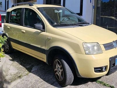 Usata Fiat Panda 4x4 54 CV (39 kW) 2006 Giallo Utilitaria