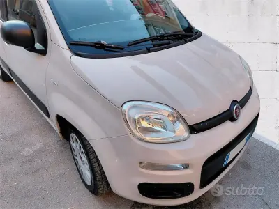 Usata Fiat Panda