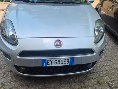Usata Fiat Punto Lounge 69 CV (50 kW) 2015 Grigio Utilitaria