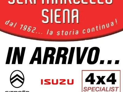 Usata Isuzu D-Max 163 CV (119 kW) 2020 Grigio SUV