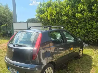 Usata Fiat Punto Active 60 CV (44 kW) 2009 Grigio Utilitaria