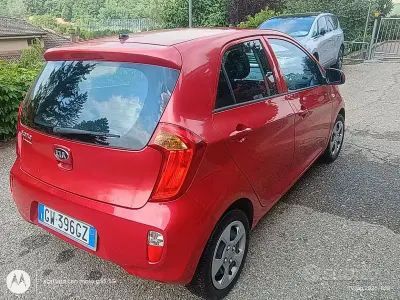 Usata Kia Picanto 69 CV (50 kW) 2014 Rosso Utilitaria