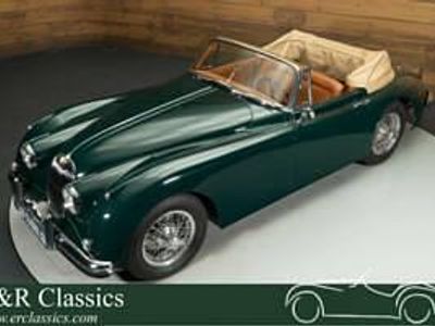 Usata Jaguar XK 193 CV (141 kW) 1959 Verde Cabrio