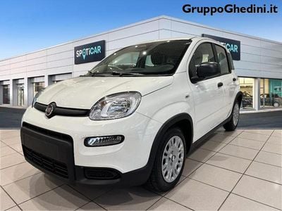 Usata Fiat Panda S 70 CV (51 kW) 2024 Bianco gelato Utilitaria