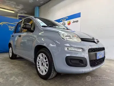 Usata Fiat Panda Easy 69 CV (50 kW) 2018 Grigio Utilitaria
