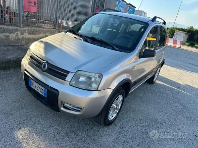 Usata Fiat Panda 4x4 75 CV (55 kW) 2007 Grigio Utilitaria