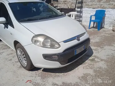 Usata Fiat Punto Evo 77 CV (56 kW) 2010 Bianco Utilitaria