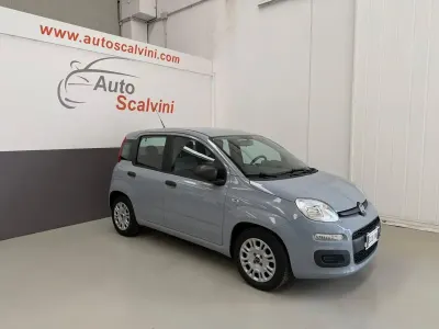 Usata Fiat Panda S 71 CV (52 kW) 2021 Grigio Utilitaria