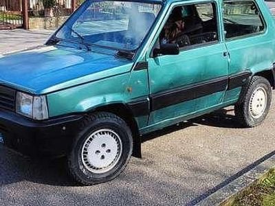 Usata Fiat Panda 4x4 Trekking 54 CV (39 kW) 2001 Utilitaria