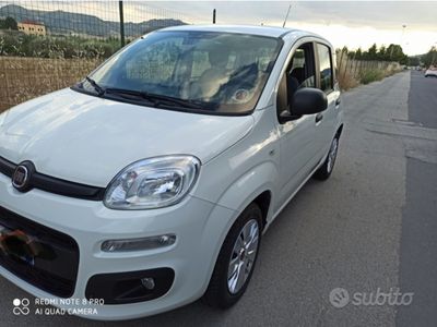 usata Fiat Panda Multijet 95 cv