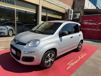 Usata Fiat Panda Lounge 69 CV (50 kW) 2021 Argento Utilitaria