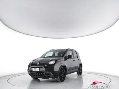 Usata Fiat Panda 69 CV (50 kW) 2019 Grigio Utilitaria