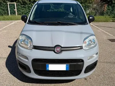 Usata Fiat Panda 71 CV (52 kW) 2019 Grigio Utilitaria