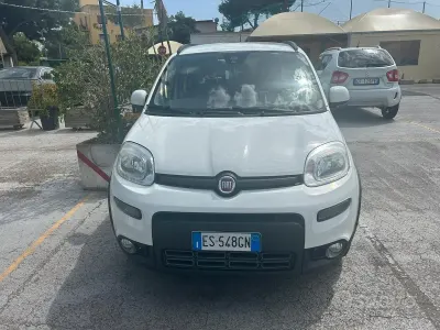 Usata Fiat Panda Trekking 85 CV (62 kW) 2013 Bianco Utilitaria