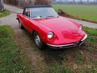 Usata Alfa Romeo Spider 1970 Rosso Cabrio