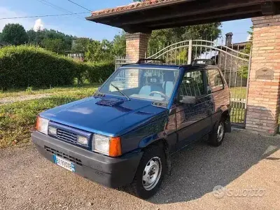 Usata Fiat Panda 4x4 Trekking 54 CV (39 kW) 2002 Blu Utilitaria