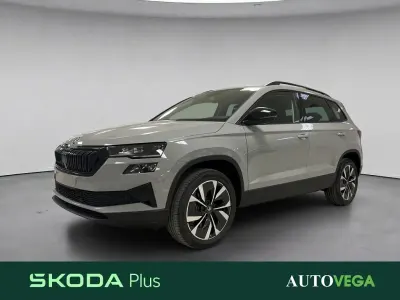 Usata Skoda Karoq