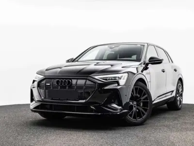 Usata Audi e-tron