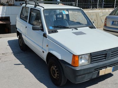 usata Fiat Panda 1100 i.e. cat Young