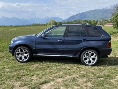 Usado BMW X5 Efficient Dynamics 218 CV (160 kW) 2004 Azul SUV