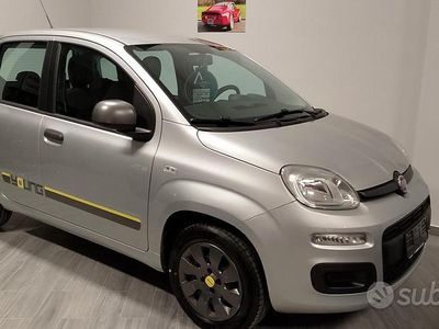 Usata Fiat Panda Young 2014 Grigio Utilitaria
