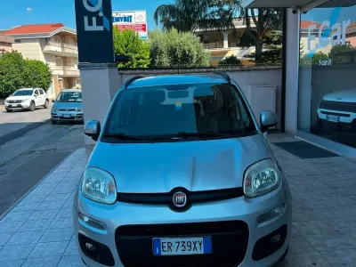 Usata Fiat Panda Easy 69 CV (50 kW) 2013 Argento Utilitaria