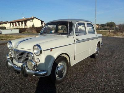Usata Fiat 1100 Lusso 52 CV (38 kW) 1959 Grigio Berlina