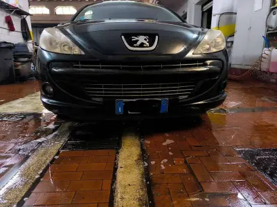 Usata Peugeot 206