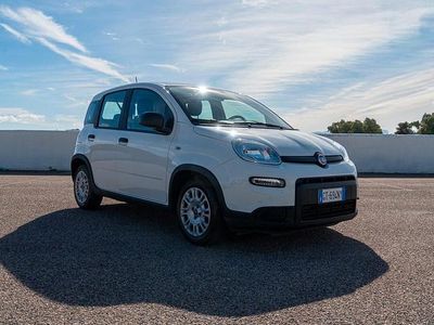 Usata Fiat Panda S 70 CV (51 kW) 2024 Bianco Utilitaria