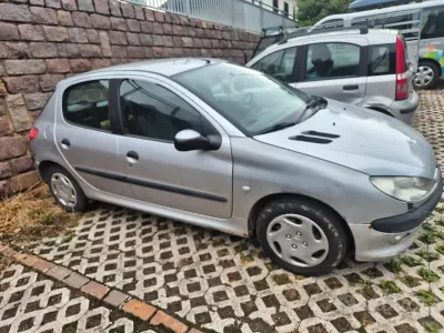 Usata Peugeot 206