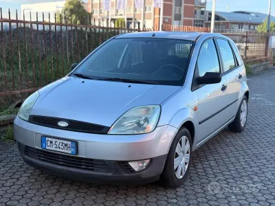 Usata Ford Fiesta Ambiente 75 CV (55 kW) 2004 Grigio Utilitaria