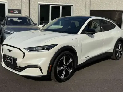 Usata Ford Mustang Mach-E Standard Range 100 kW (136 CV) 2024 Bianco SUV