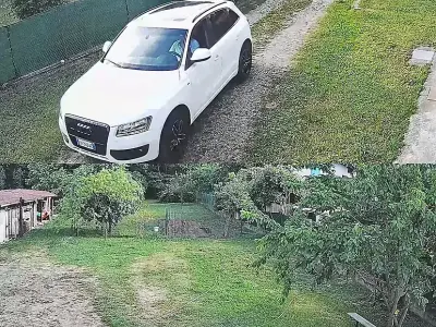 Usata Audi Q5 170 CV (125 kW) 2011 Bianco SUV